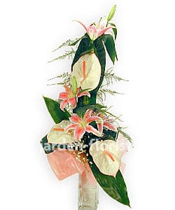 Жарден Флорист